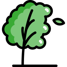 charset image